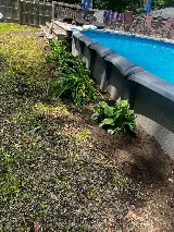 M&G Landscaping & Lawn Care LLC photo 7