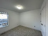 Little Paint Co. photo 7