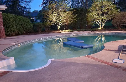 Clearene Pool & Spa Services photo 1