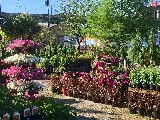 Valley Gardens