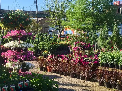 Valley Gardens photo 1
