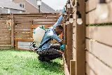 Insight Pest Control - Puyallup