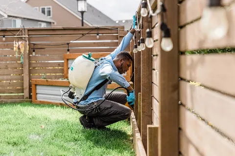 Insight Pest Control - Puyallup in Tacoma
