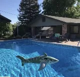 The Pool Managers