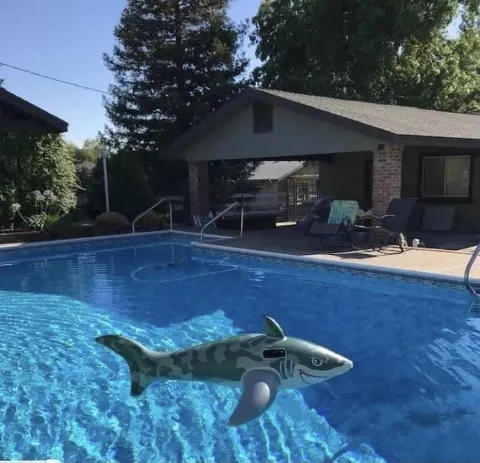 The Pool Managers in Roseville