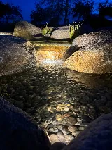 Flow Landscape/Flow Aquascapes photo 4