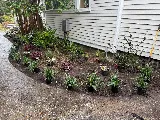 Oak Branch Landscaping photo 3