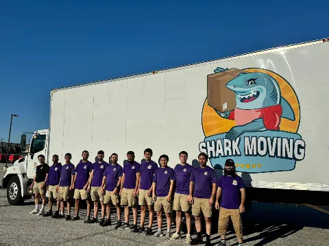 Shark Moving in Whitby