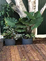 Thrasher Pest Control photo 8