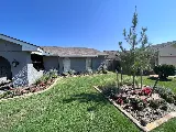 Giant Landscape, LLC photo 5