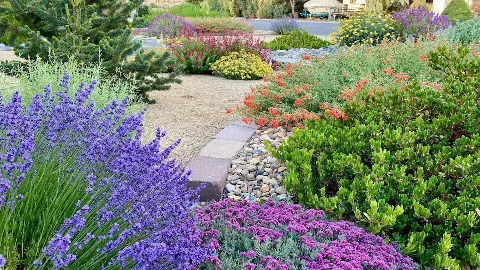Green Lizard Landscape LLC in Carson City