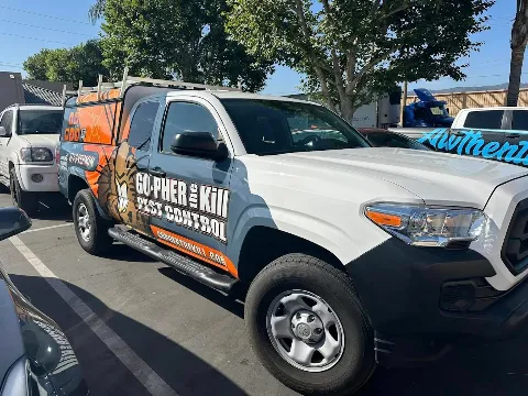 Go-Pher The Kill Pest Control Riverside in Riverside