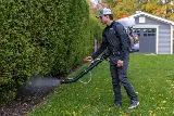 Insight Pest Solutions