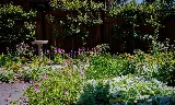 Greenwise Organic Lawn Care of Milwaukee photo 6