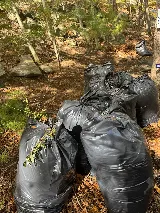 peguero landscapeng llc photo 6