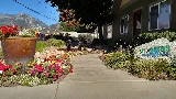 Rollins Landscaping, Inc.