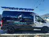 Primal Electric