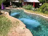 Classic Pool Service & Repair LLC photo 7