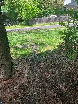 Mow-It-Alls, LLC photo 6