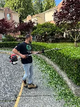 Maplezorean Landscaping Ltd. photo 4