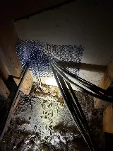 Ameristar Termite & Pest Control photo 6