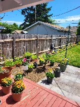 Brooks Pest Control photo 6