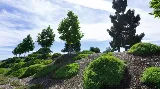 New Image Landscape Company