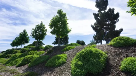 New Image Landscape Company photo 1