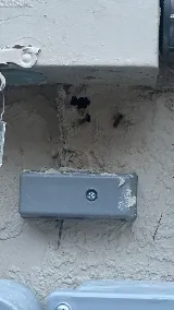 Waves Pest Control Lakewood Ranch photo 8