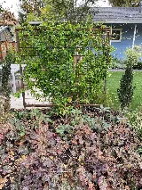 Creekscape Design LLC Landscape Design & Installation