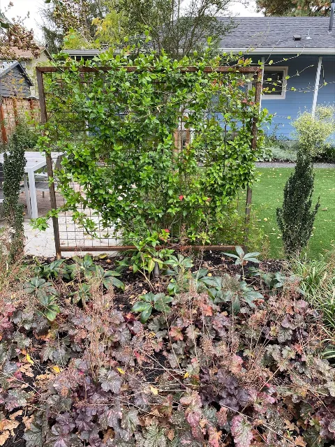 Creekscape Design LLC Landscape Design & Installation photo 1