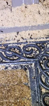 Alpine Pest Control LTD photo 9