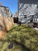 Impact Landscaping photo 5