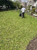 Luciano And Son Landscaping LLC