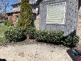 Greenscapes Lawn and Landscape LLC photo 6