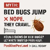 Positive Pest Management