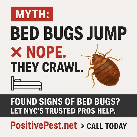 Positive Pest Management photo 1