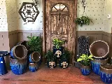 Horticare Landscape Companies photo 3