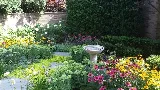 Greenwise Organic Lawn Care photo 3