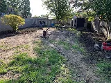 Wildroses Landscaping Corp photo 4
