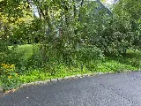 PK Landscape Associates photo 2