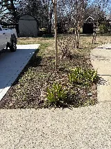 JML Landscape Management Inc photo 5