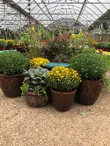 Horticare Landscape Companies photo 6