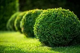 4th Generation Landscaping, Clean Up and Mulching