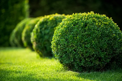 4th Generation Landscaping, Clean Up and Mulching photo 1