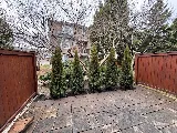 M Landscaping Ltd. photo 7