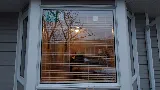 Ecoline Windows and Doors Victoria
