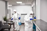 Pestech Pest Solutions photo 4