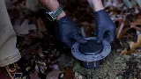 Gibson Pest Control photo 4
