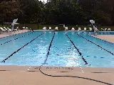 A PERFECT POOL COMPANY LLC photo 4